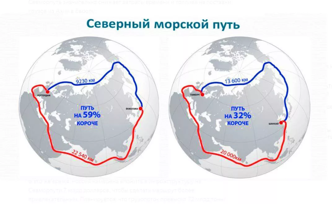 Севорпуть с реальном масштабе. Картинка - vegchel.ru
