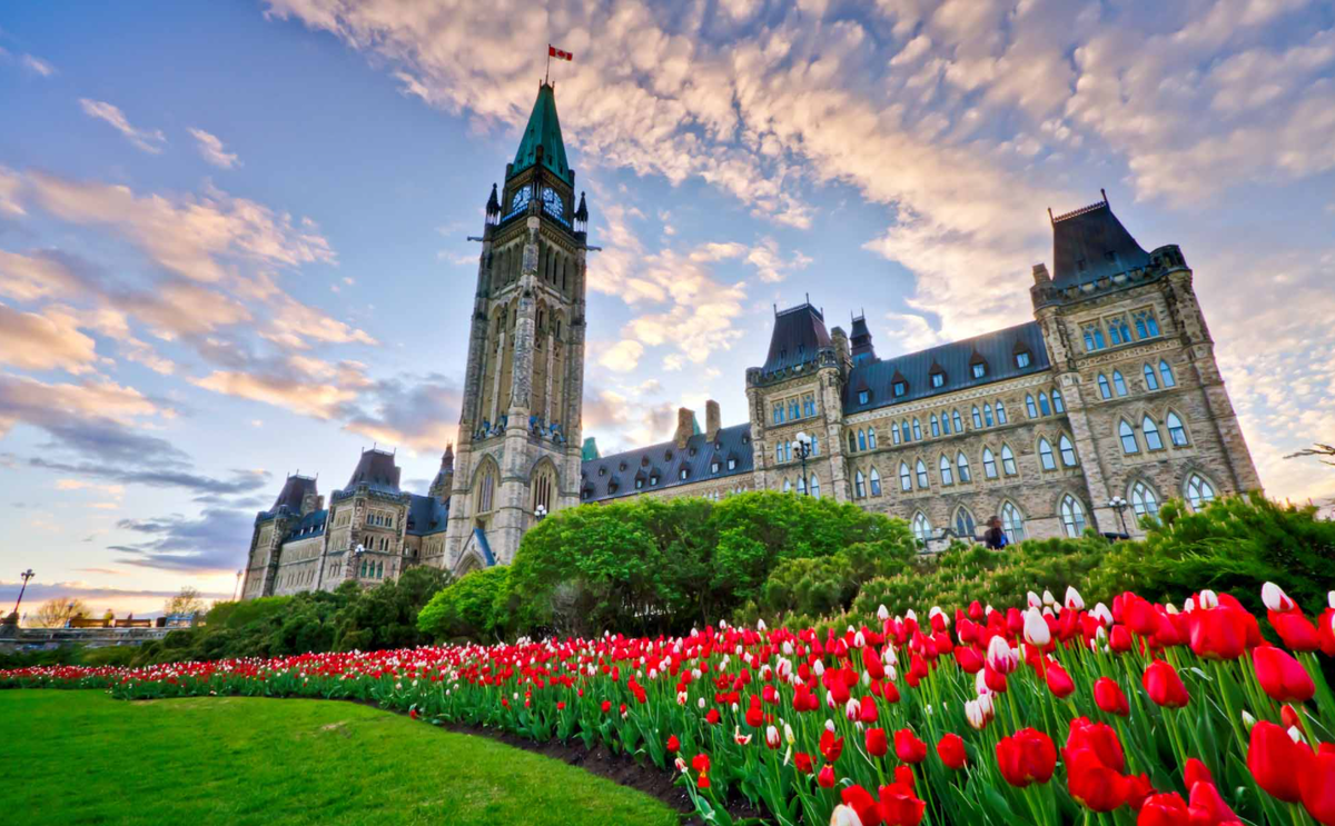 Оригинал фото: https://postila.ru/data/c9/db/f3/c7/c9dbf3c716b52118f70611fc697f3f9eb78b127300b2bacd6d6b3550453c108a.jpg