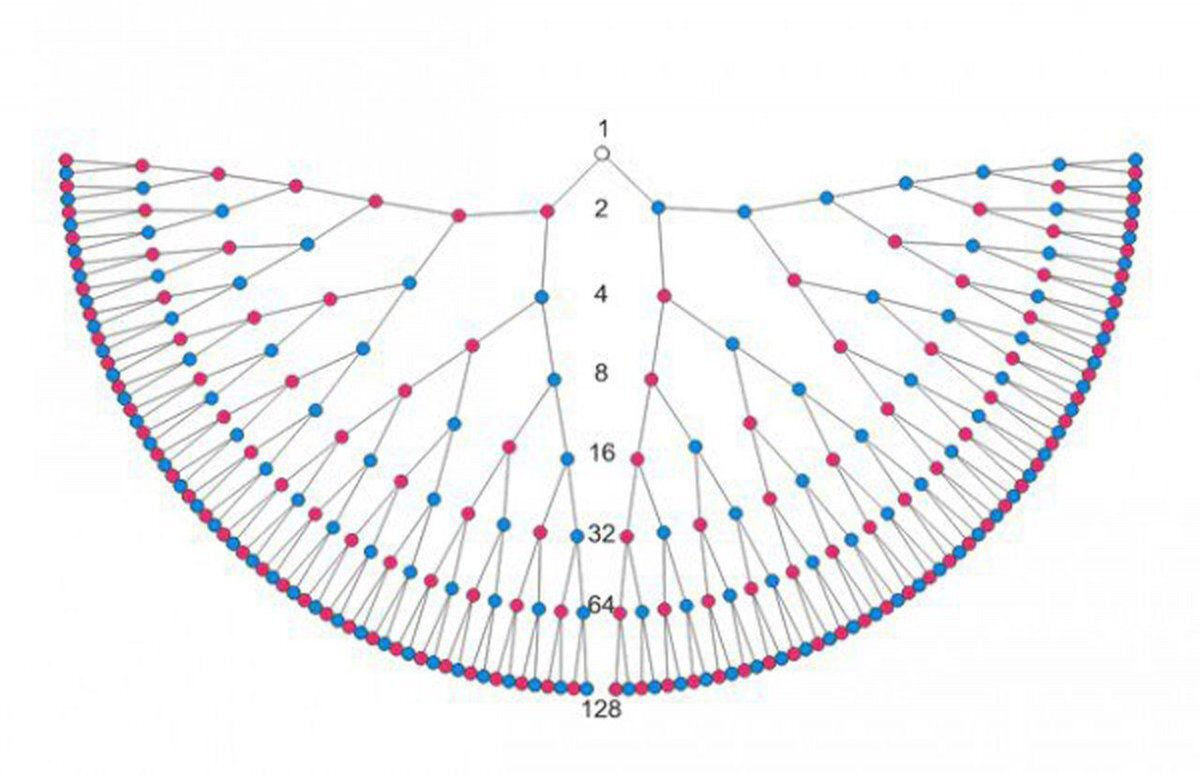 Род - не только древо, но и птица. Цифрами обозначено количество людей в поколении. Носик птички - это вы.