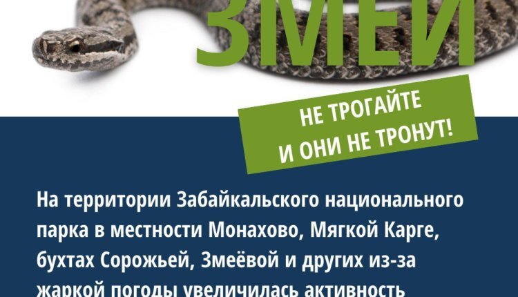 Фото: "Забайкальский нацпарк"