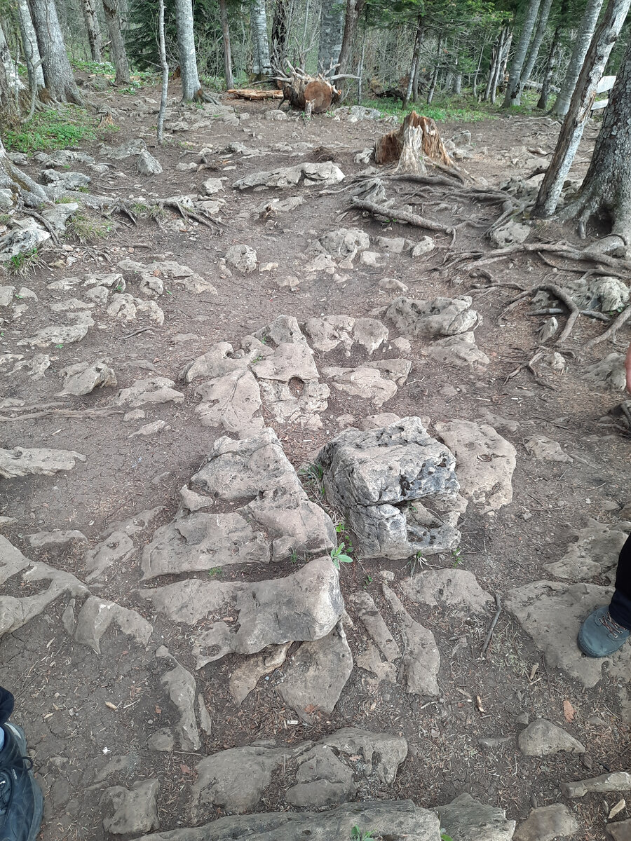 Поднимаемся все выше. Чем ближе вершина, тем больше горной породы под ногами