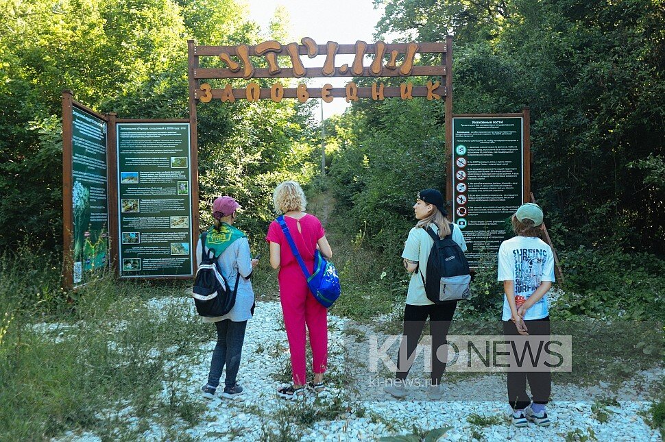 Фото: Денис Яковлев, «Краснодарские известия»📷Фото: Денис Яковлев, «Краснодарские известия»