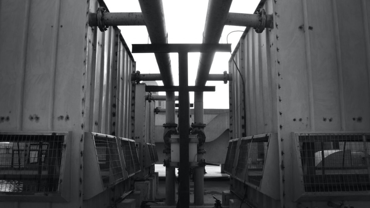    Фото: Unsplash Август Макаров