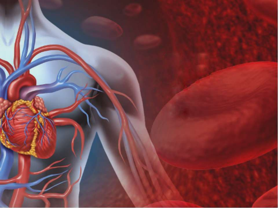 Болезни сосудов крови. Сердечно сосудистая система. Сердечкососудестая система. Сосуды сердца. ССС сердечно сосудистая система.