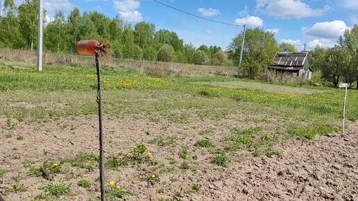 Огородные дела на проекте Сапуново. Приступил к копке земли под картошку.12052023.