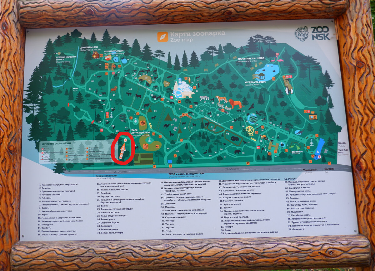 В красный кружок обвела стрелку "Вы здесь"