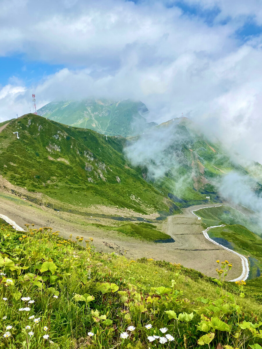 Альпийские Луга красная Поляна