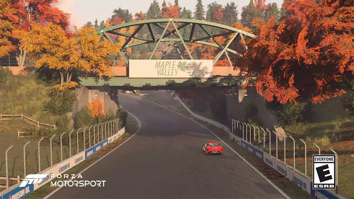 Демонстрация трасс Maple Valley и Grand Oak Raceway в Forza Motorsport |  Все про онлайн игры на ПК и другие платформы | Дзен