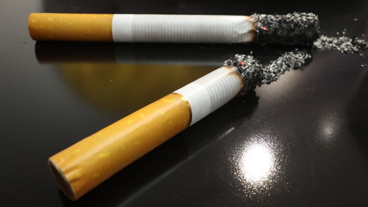 BULKIN SERGEY/GLOBALLOOKPRESS