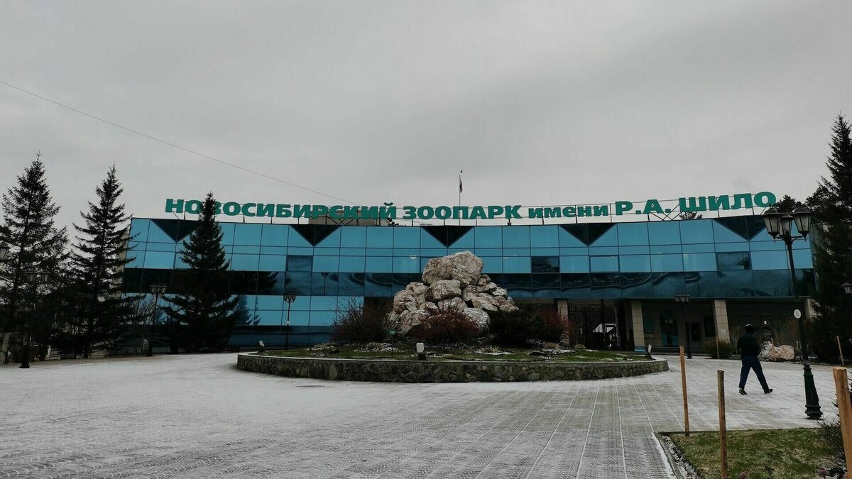 Имени р а шило. Новосибирский зоопарк имени р.а Шило Новосибирск. Новосибирск зоопарк Заельцовский район. Новосибирск улица Тимирязева 71/1 Новосибирский зоопарк имени ра Шило. Новосибирский зоопарк здания и сооружения Новосибирска