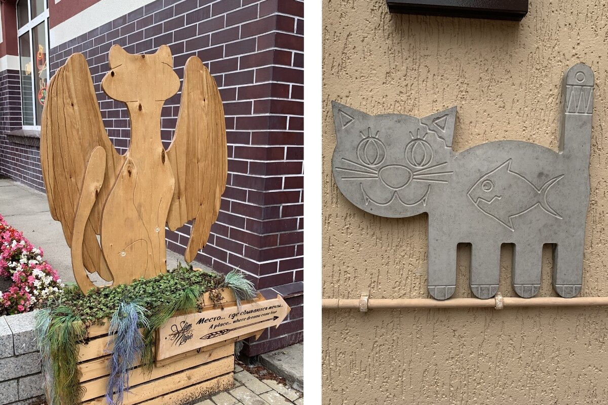 Зеленоградск-Город кошек. Фото автора