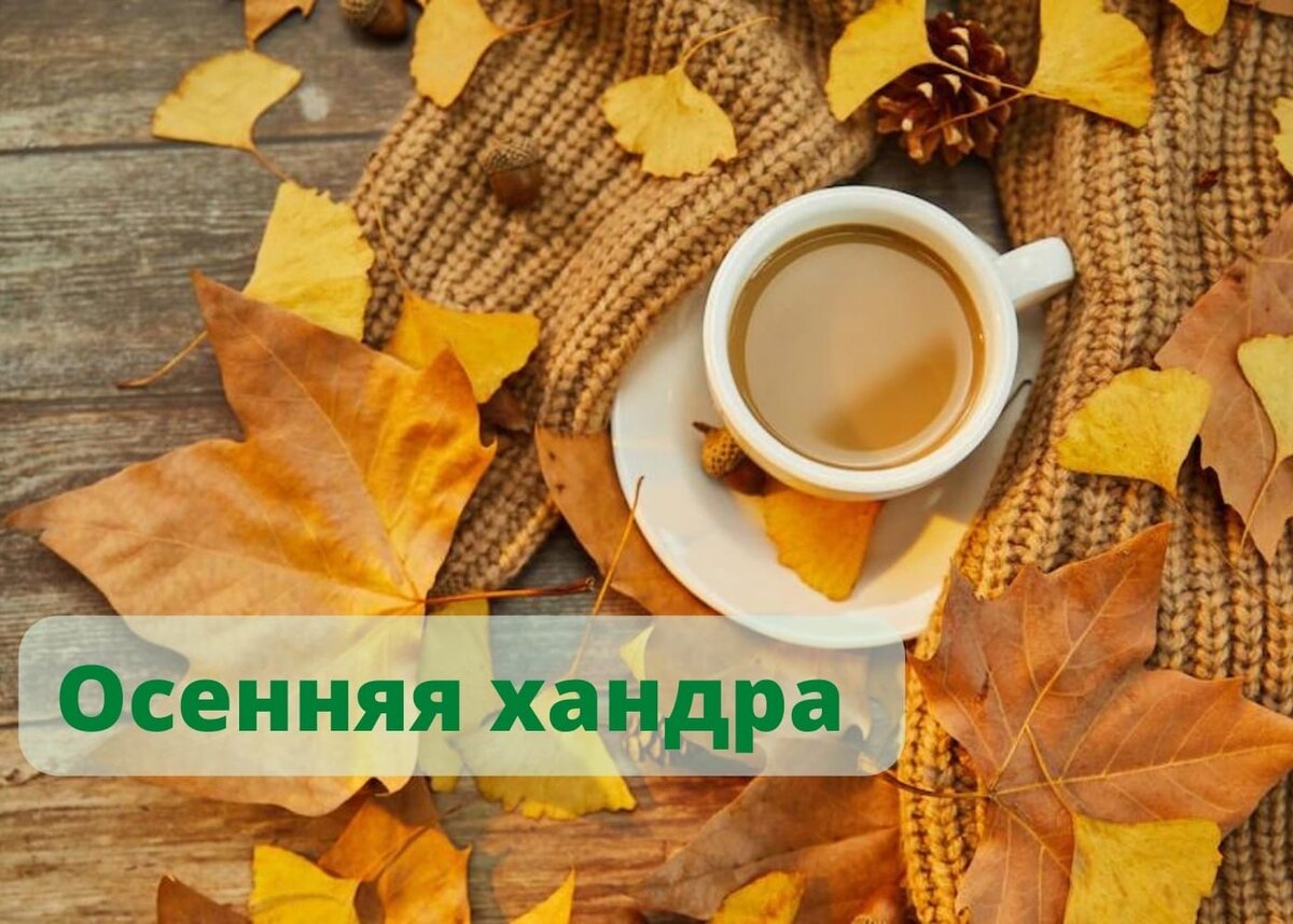 Осенняя хандра
