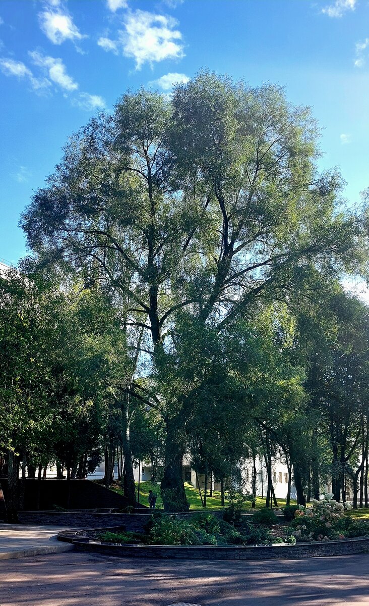 Ну, вы понимаете масштаб, да? 