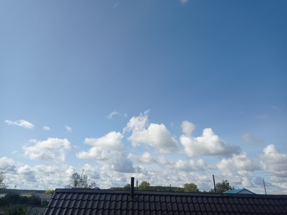 Какое небо голубое,,,, 