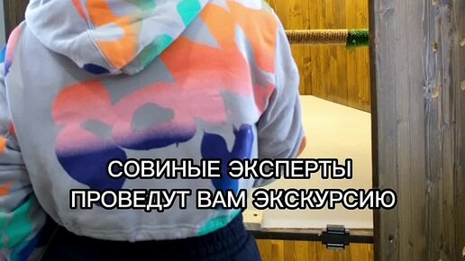 Анна Брук места в Москве | Первое антикафе с совами #СовиноеАнтикафе # ...