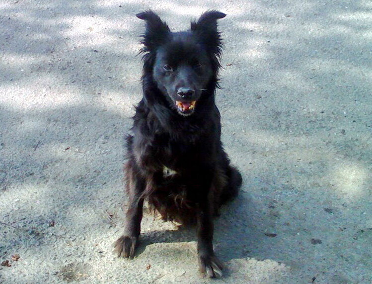 10 июня, за месяц до событий