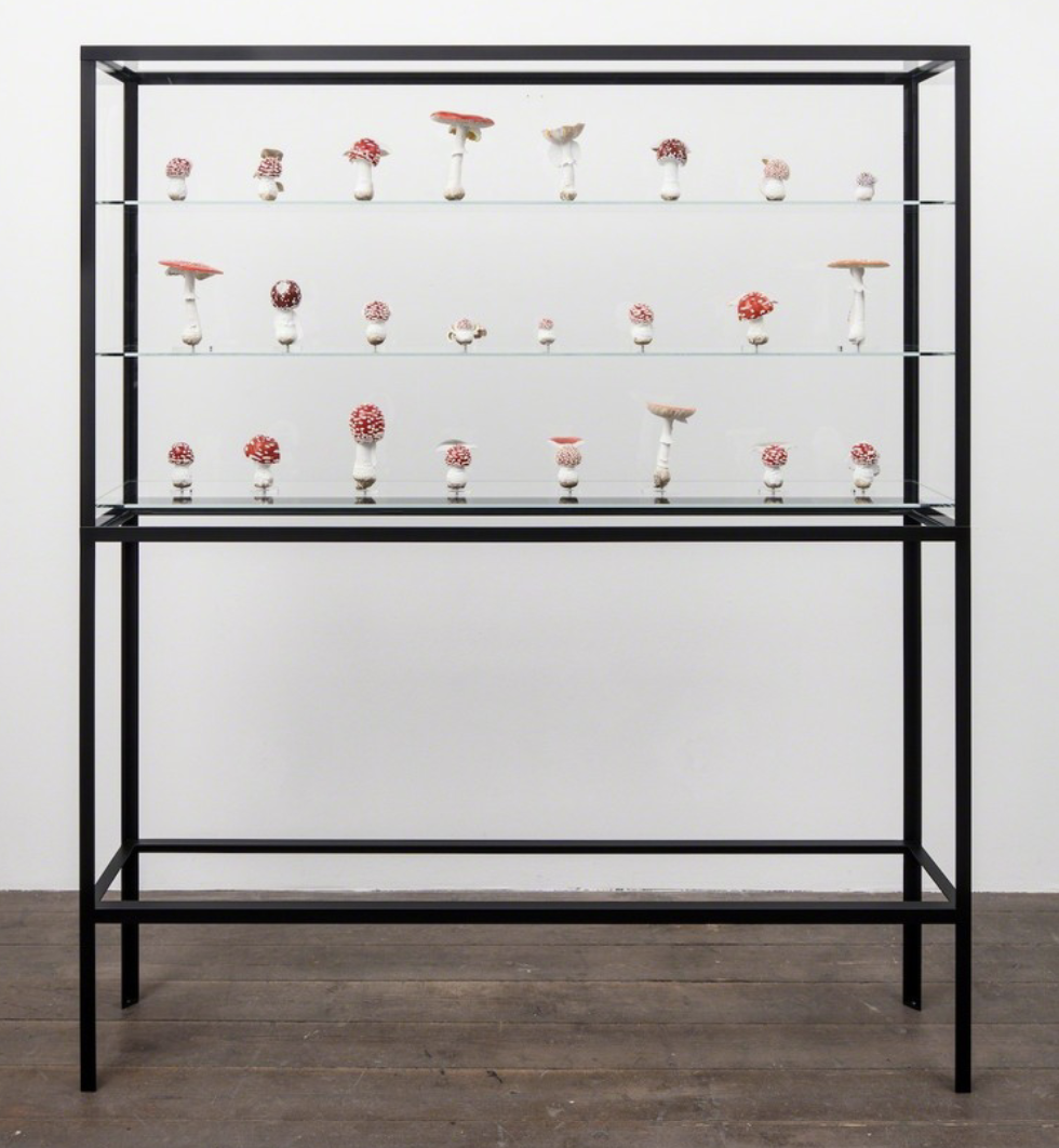 «Двойная грибная витрина», 2017