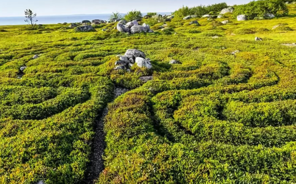 Каменные узоры-лабиринты на Соловецких островах