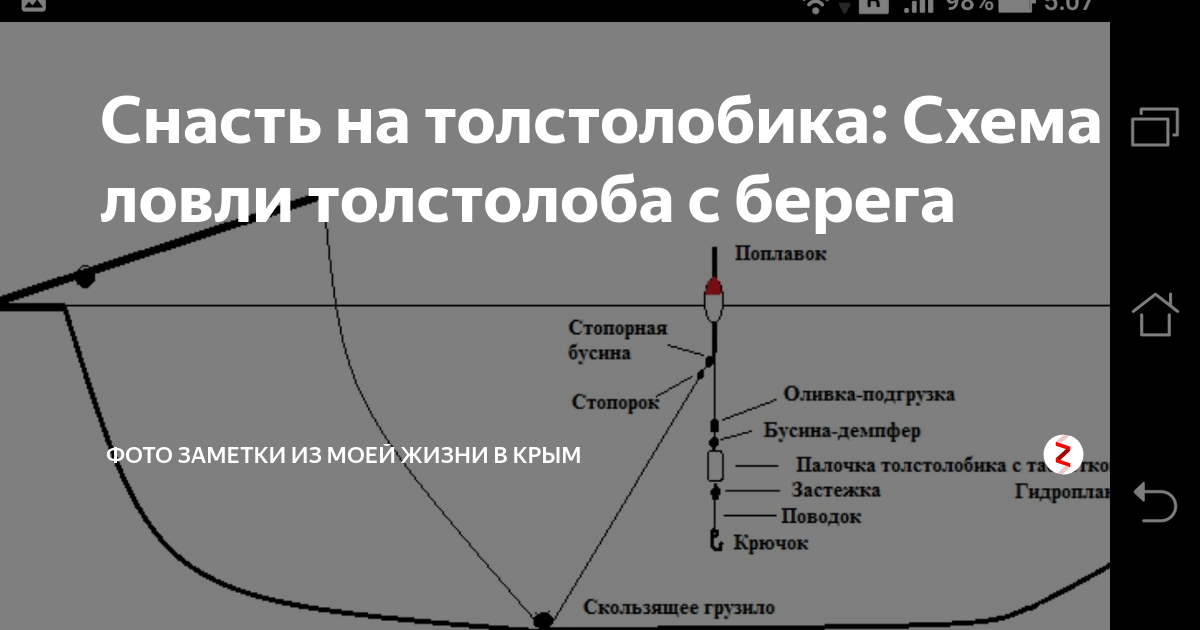 Схема монтажа на толстолобика