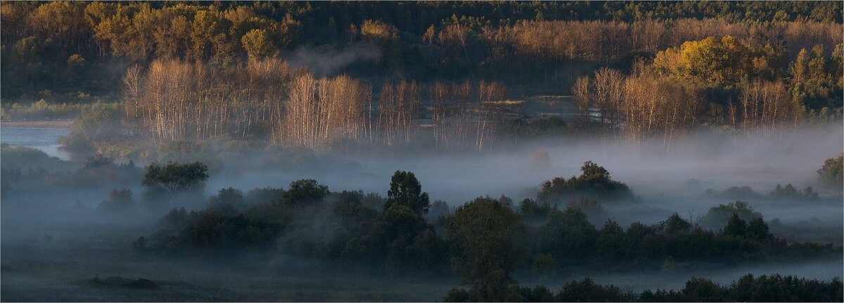 Фото Закира Умарова