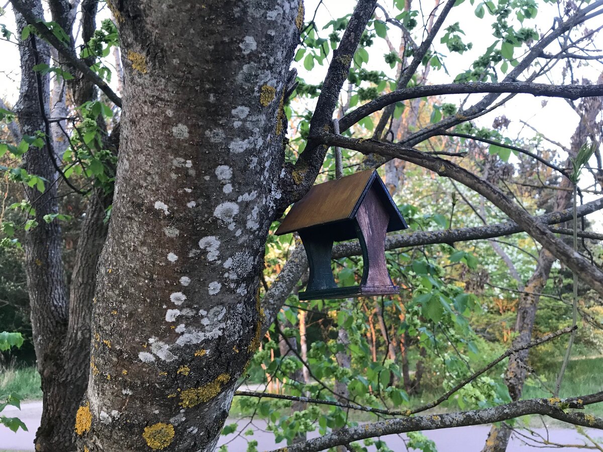 По-английски кормушка скорее всего будет названа a bird feeder. Причём слово может писаться слитно, a birdfeeder, и этим же словом может быть назван человек, который кормит птиц.