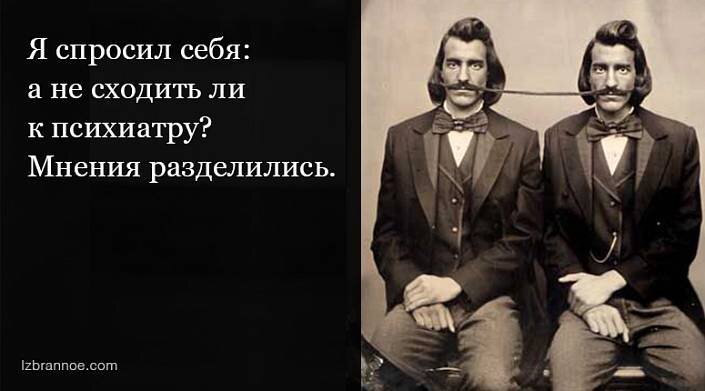 Кто не рискует, тот не пьет шампанского, а пьет водку на поминках того, кто рискует. 
***

Я спросил себя: а не сходить ли к психиатру? Мнения разделились.

***

Дерьмо не тонет, поэтому приличные люди всегда на дне.

***

С миром, где «Балтику» № 3 и Моцарта объединяет слово «классика», явно что-то не так.

***

Чтобы лопнувший помидор не заплесневел, трещину посыпьте солью, а помидор съешьте.

***

Стоит какая-то тетка и говорит: «Согласны ли вы взять в жены Тамару?» И тут я стал трезветь...

***

Межсезонье у травматологов — это когда мотоциклисты уже закончились, а сноубордисты еще не начались.

***

В конкурсе «Мебель для малогабаритной квартиры» победил горшок с ручкой внутрь.

***

Легализация оружия — это последнее, что успеют сделать депутаты при жизни.

***

Мой сосед с фамилией Следующий никогда не стоит в очереди.

***

Граф Дракула так напился, что поехал с друзьями встречать рассвет.

***

Если мучает бессонница, найди себе бесстыдницу.

***

Иногда я разговариваю с людьми. Потом пытаюсь понять, зачем.

***

Пейте, дети, молоко, а не то, что я вчера.

***

Сначала моя кошка не любила пылесос. А потом ничего... втянулась.

***

Главное для мужчины — окружить женщину заботой о нем.

***

Господи, дай мне то, что нужно, а не то, что я хочу!

***

Уважаемое руководство страны! Вы не могли бы воровать поменьше? Мы не успеваем зарабатывать.

***

Ученые установили, что главная причина долголетия — неправильное свидетельство о рождении.

***

После греха чревоугодия становишься неповоротлив в грехе прелюбодея