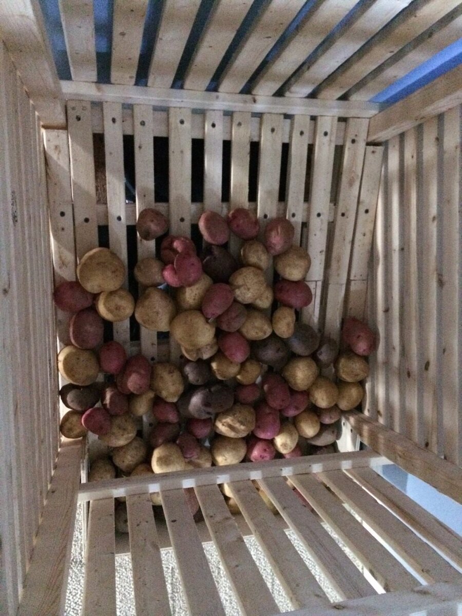 Альтернатива погребу