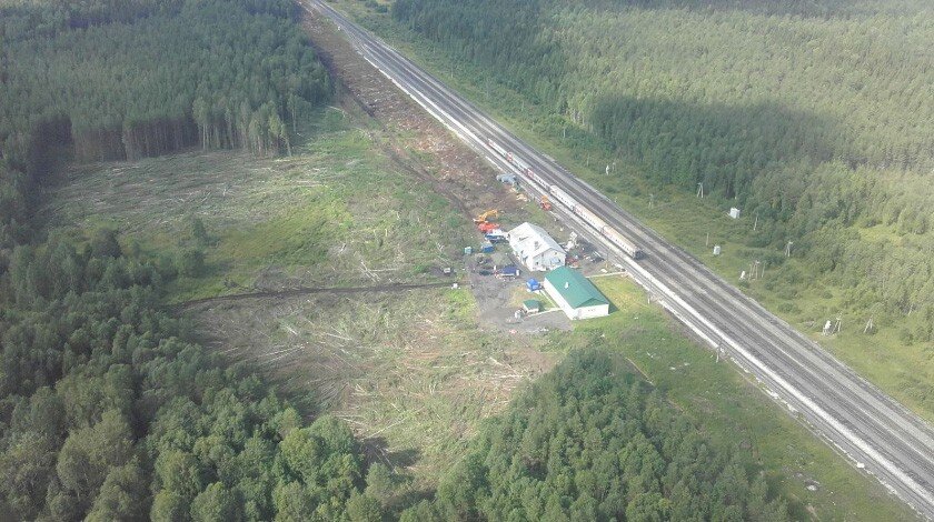 Участок на станции Шиес, расчищенный от лесаФото: © pikabu.ru