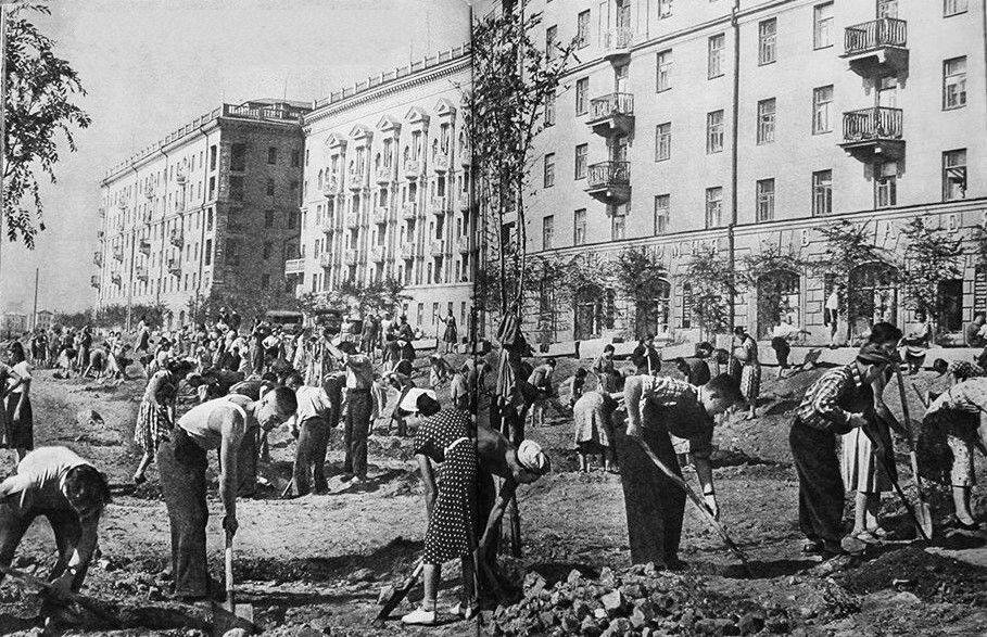 50-е годы. Волгоградцы высаживают парк на Центральной набережной. Улица Краснопитерская. Сегодня называется ул. Чуйкова. 