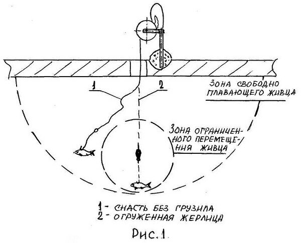 Зимняя жерлица на щуку. Виды, оснастка и особенности зимней ловли.