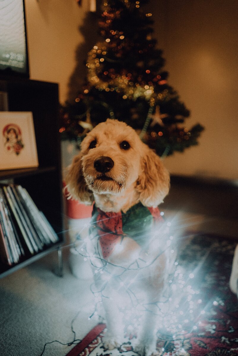 Photo by Jay Wennington on Unsplash
