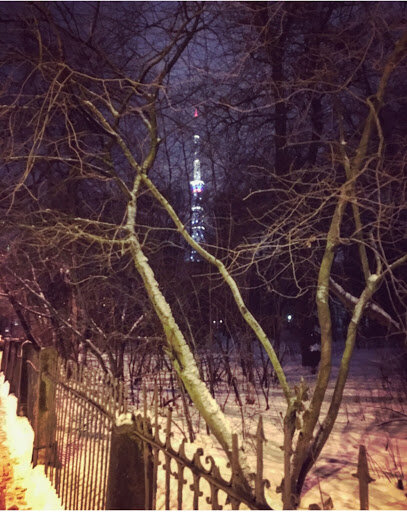 Говорят, чудеса случаются на Рождество. Но только когда оно произошло, ты понимаешь – это было чудо. В то время Ника ждала своего чуда – она была влюблена в учителя по истории и ей хотелось, чтобы он позвонил или написал, или хотя бы добавил ее в инсте. Конечно, родители бы не одобрили того, что она встречается с учителем, но ведь Ника уже взрослая! У нее свое мнение, она знает, куда хочет поступить через год. В конце концов, она занимается гимнастикой и у нее фигура, как у модели, и красивые длинные каштановые волосы. Но почему-то родители считают ее маленькой. Они в Сочельник уехали в область к бабушке и запретили Нике выходить из дома после 9 вечера! Родители говорят, что на праздниках в городе много маньяков и пьяных. И пьяных маньяков тоже. Сначала родители устроили небольшой скандал Нике, которая отказалась ехать с ними к бабке, но потом сказали: 