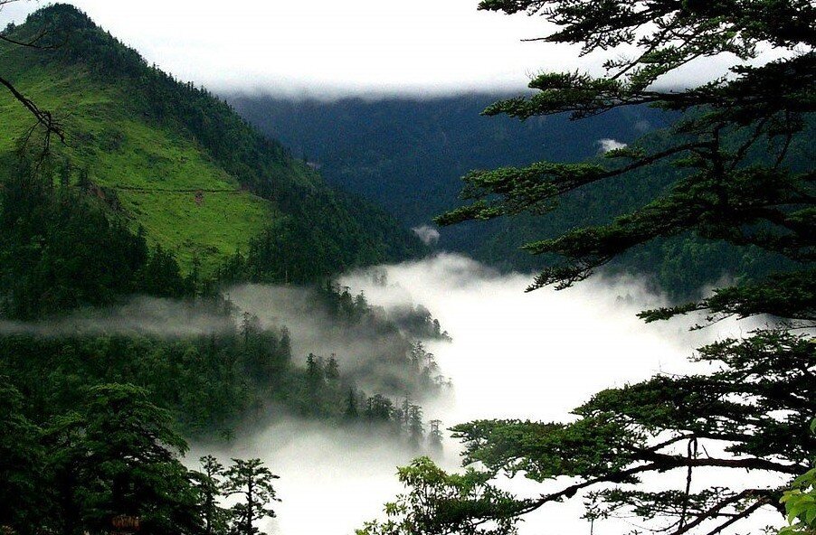 фото из открытых источников в сети Интернет