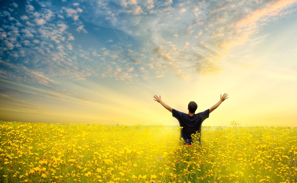 Ваша судьба, в ваших руках