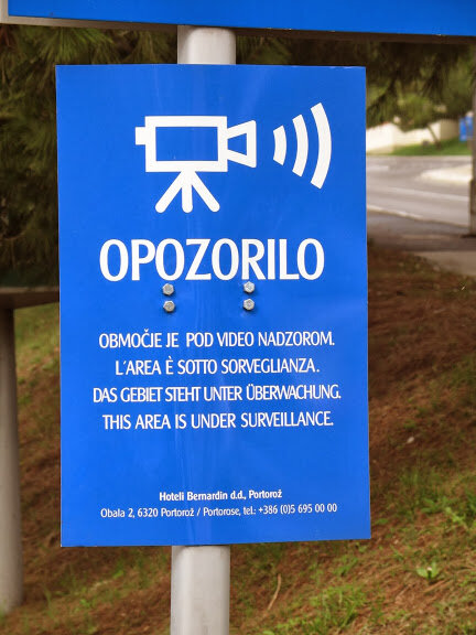 Фото авторское