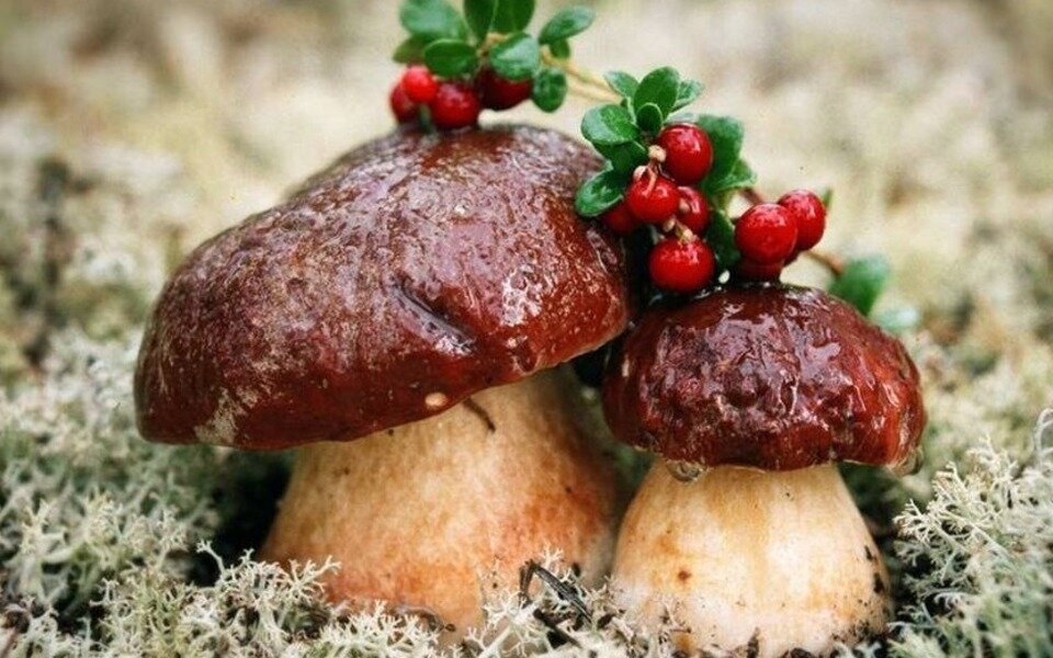 фото взято из открытых источников