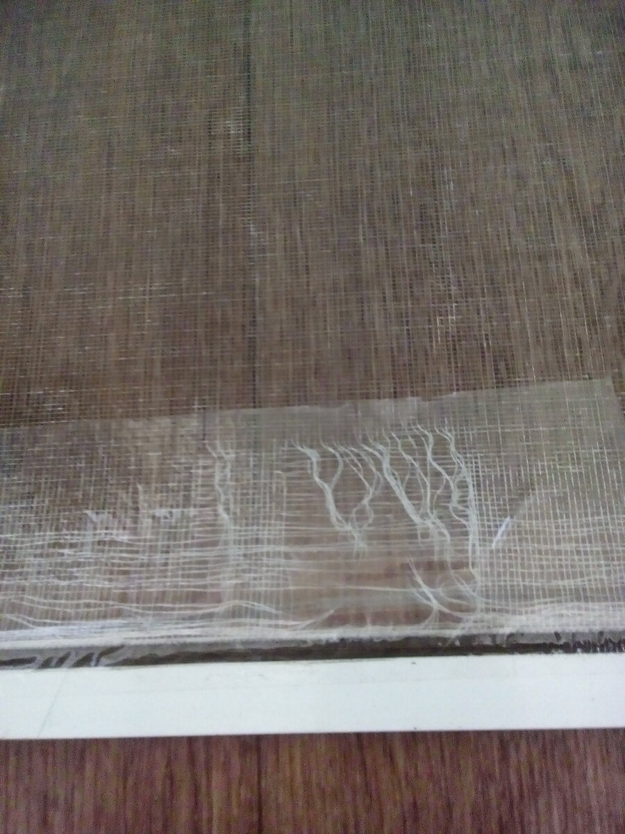 Старая москитная сетка