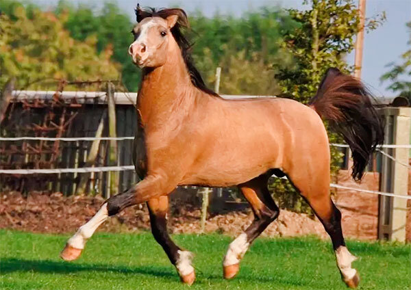 Источник фото сервис Яндекс.Картинки