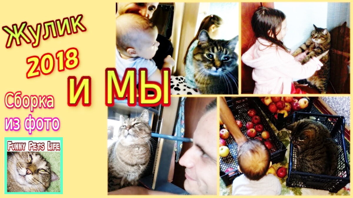 Котик и семья))