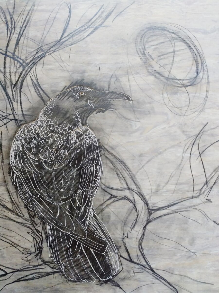 Ворона, отменный look!