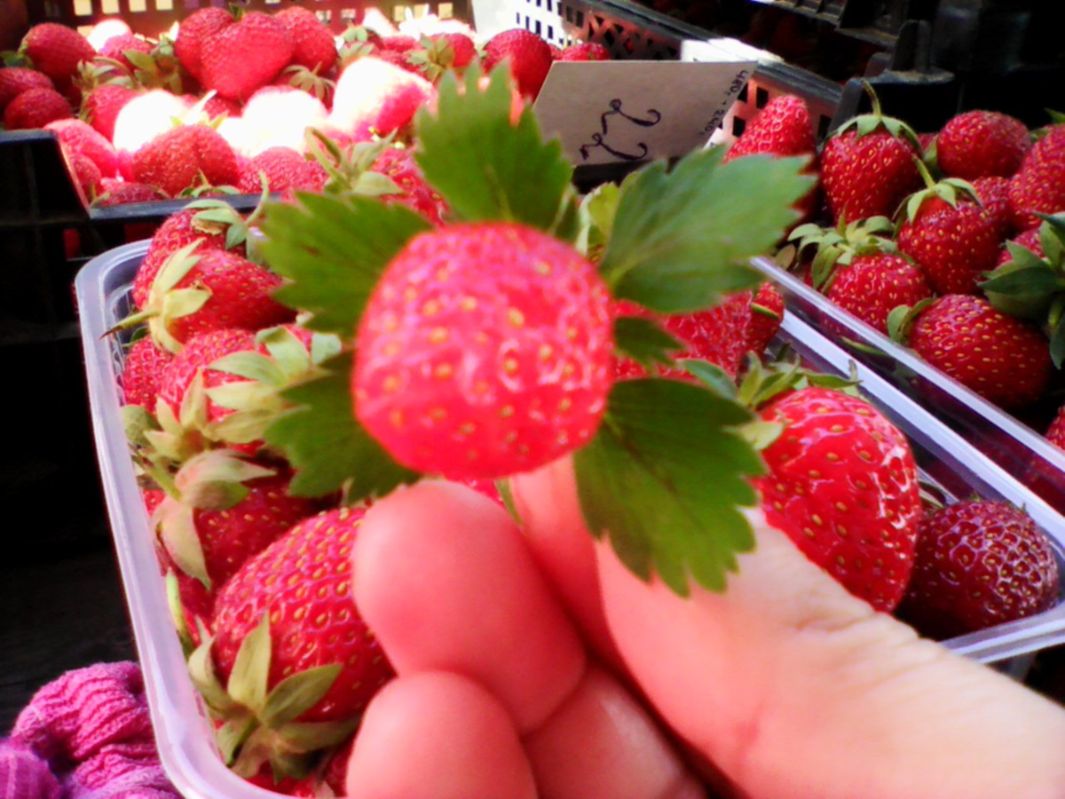 наша клубничка на рынке