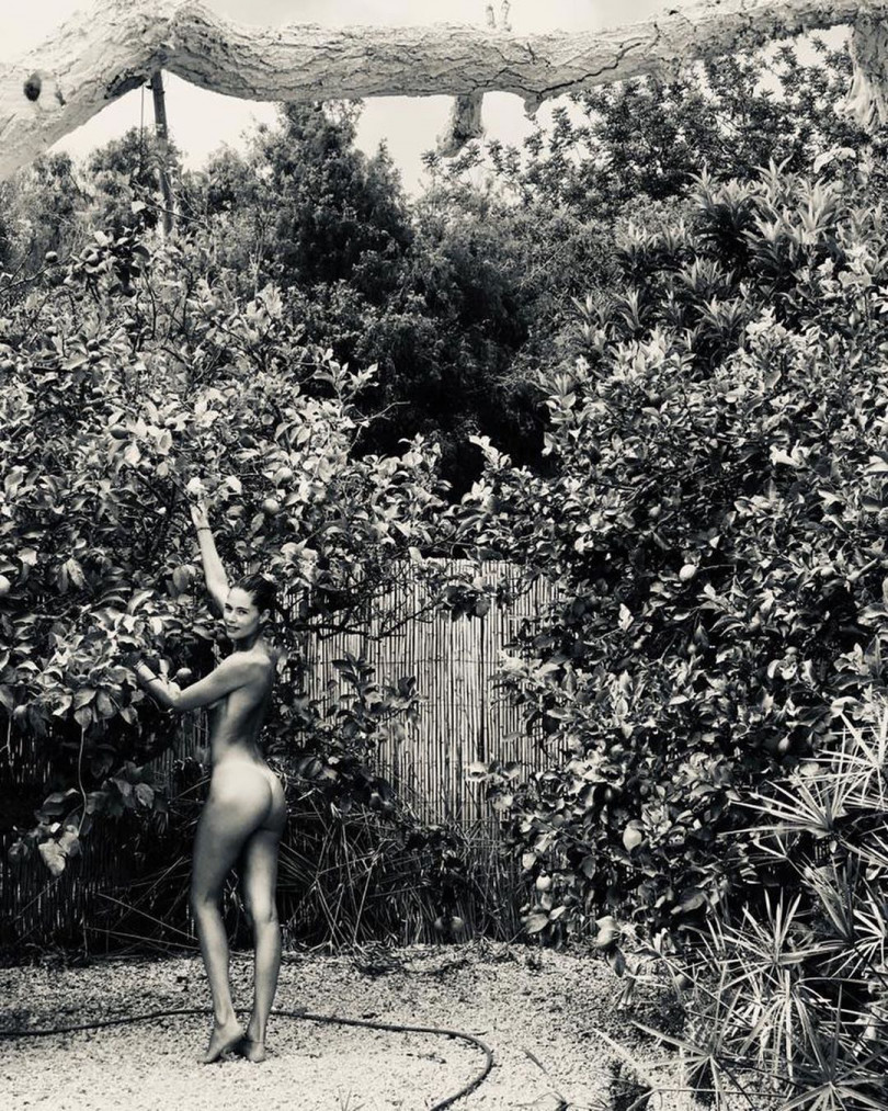 фотография №1