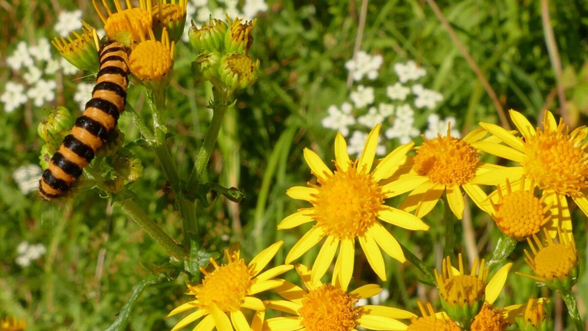 Фото взято с открытого источника