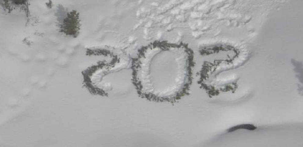 Фото из сети Интернет