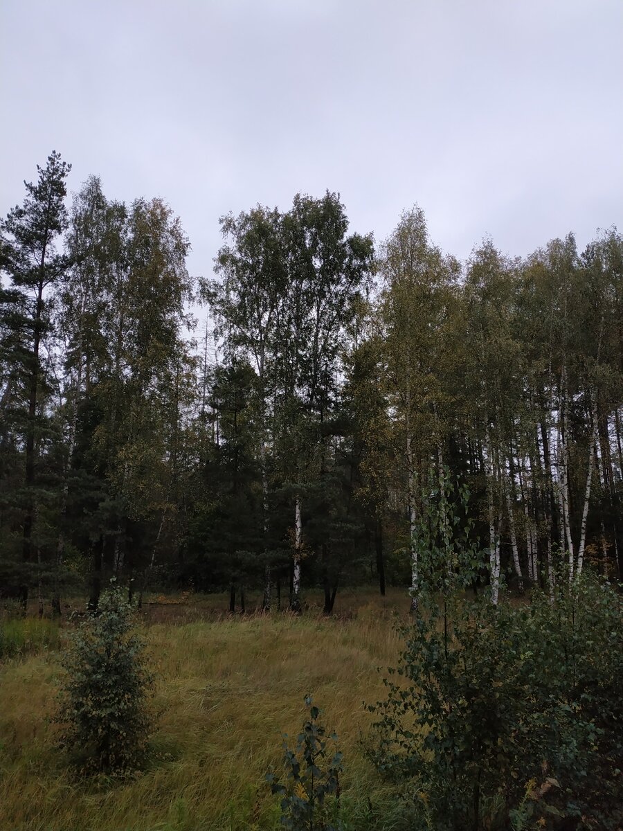 фото из личного архива