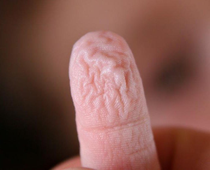 Источник: Яндекс Картинки