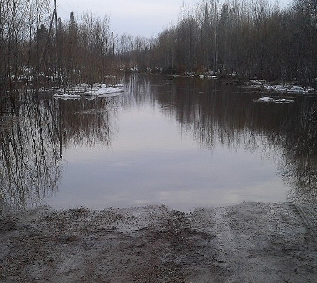 Порно осторожно кибер земляне