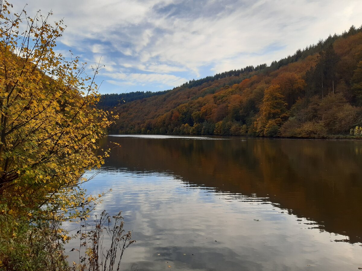 Собственные фотографии, октябрь 2019 года