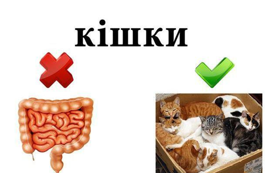 Такие забавные словечки на украинской мове