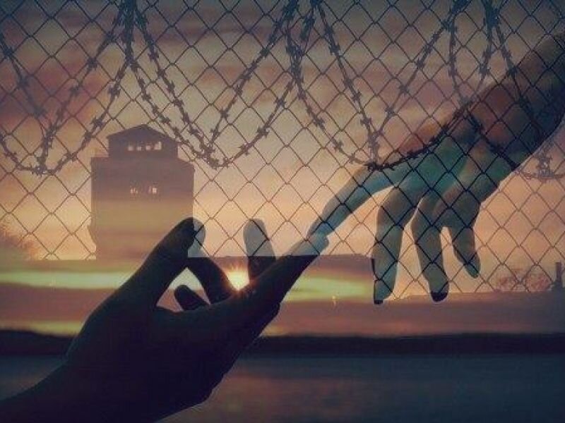 Фото из открытого источника